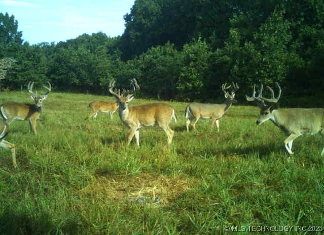 36293 S 565 Road Property Photo 1