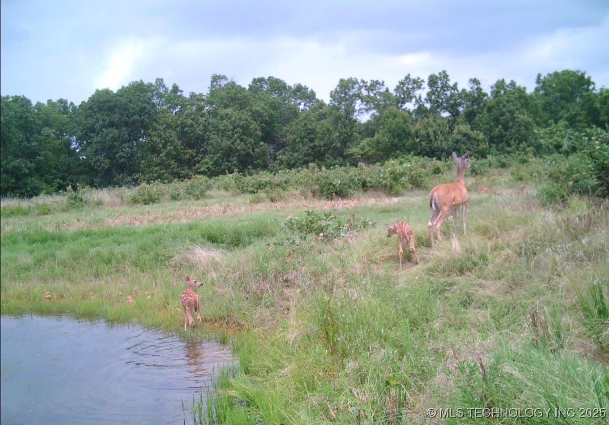 36293 S 565 Road Property Photo 3