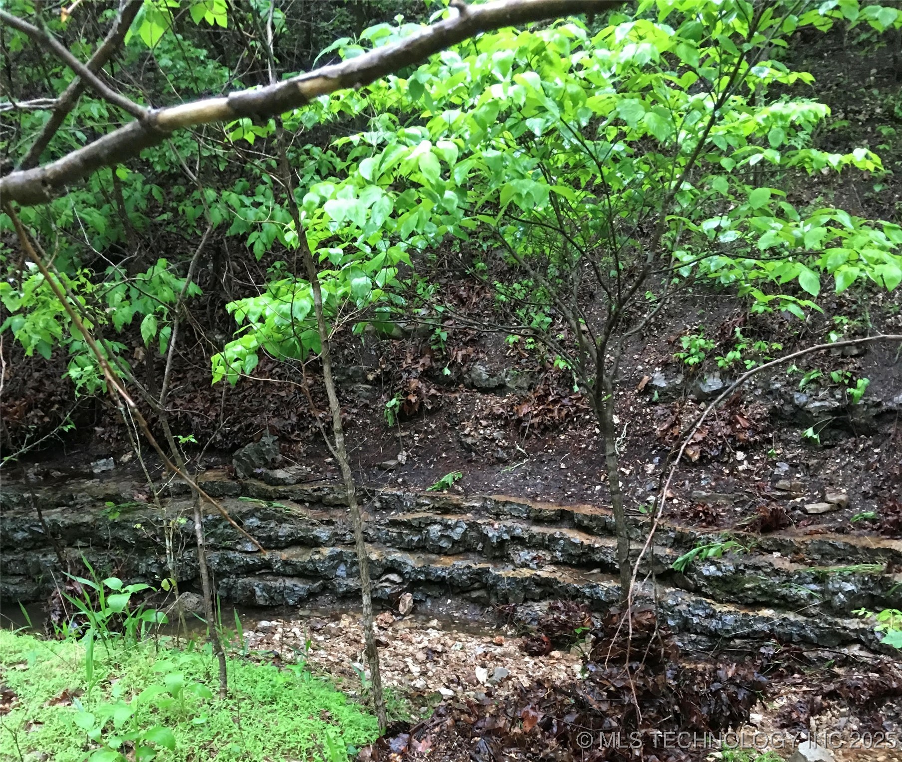 36293 S 565 Road Property Photo 5