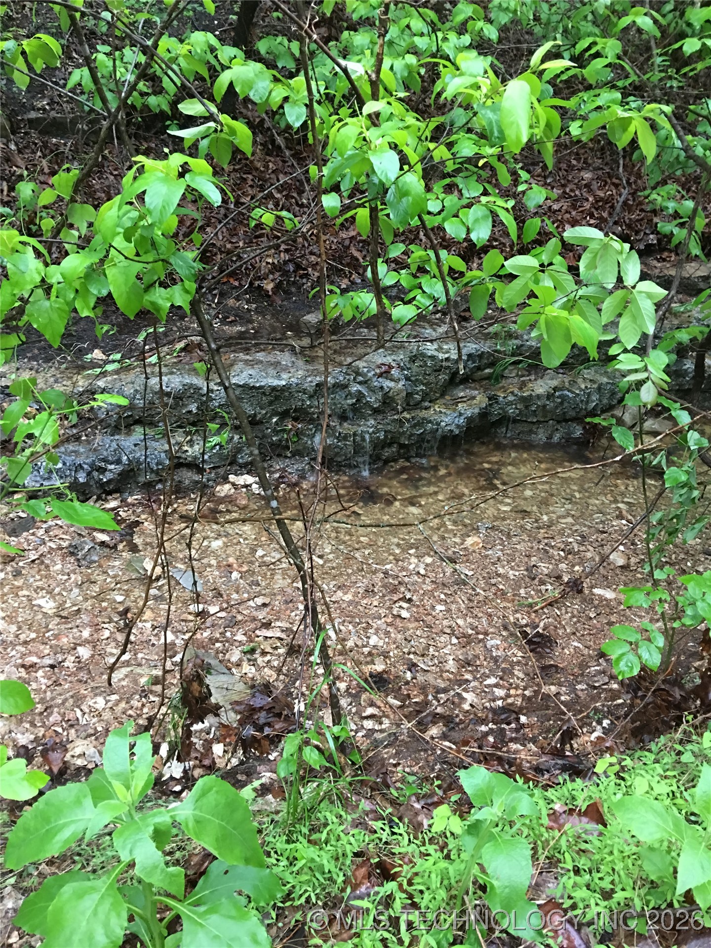 36293 S 565 Road Property Photo 6