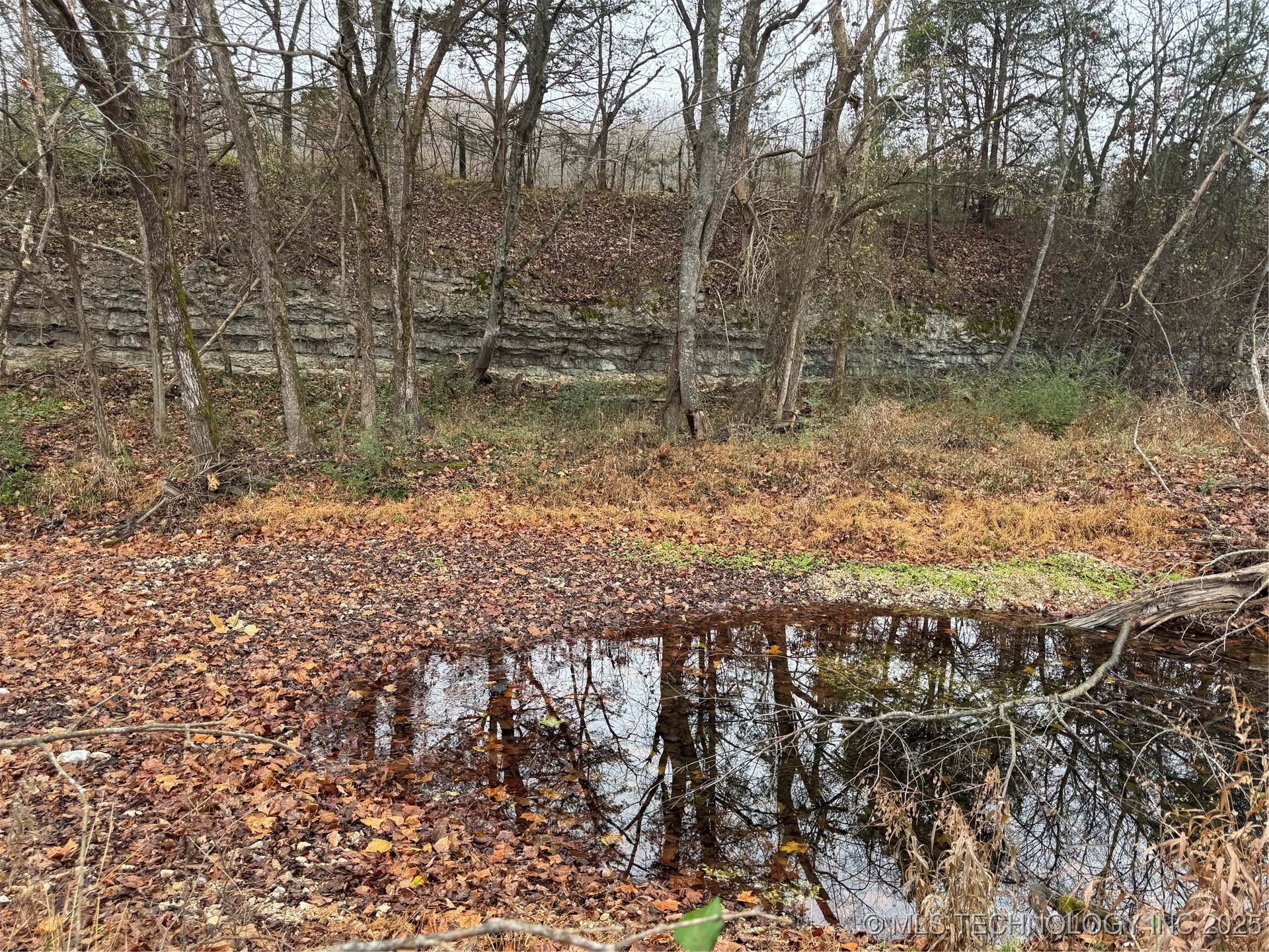 36293 S 565 Road Property Photo 7