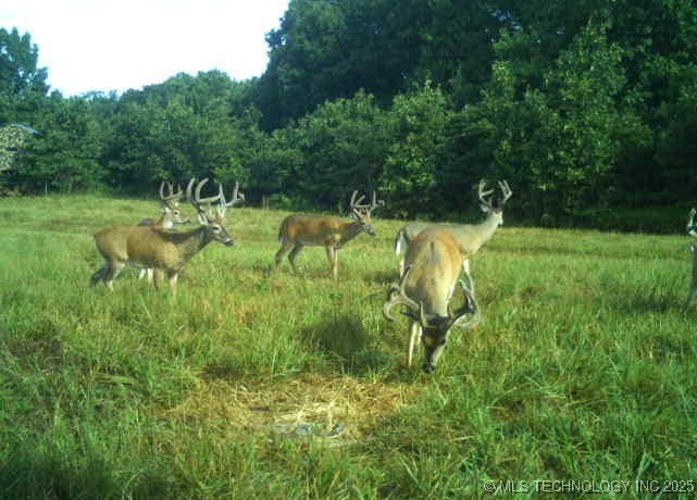 36293 S 565 Road Property Photo 8