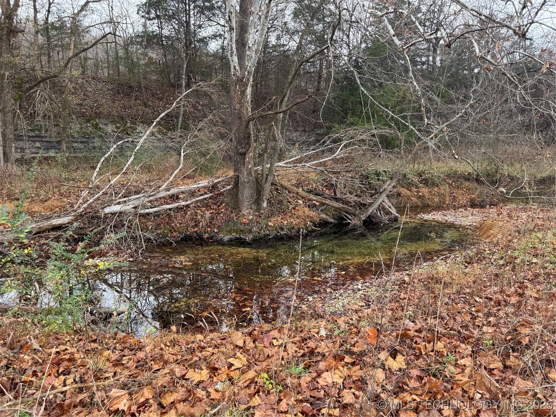 36293 S 565 Road Property Photo 9