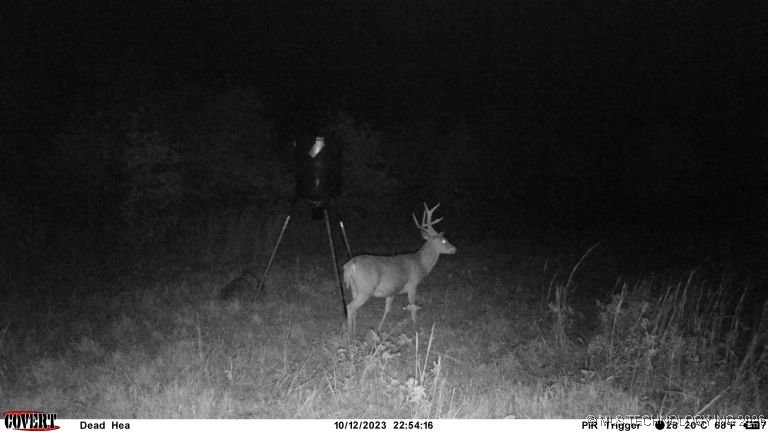 10330 S 417th West Avenue Property Photo 12