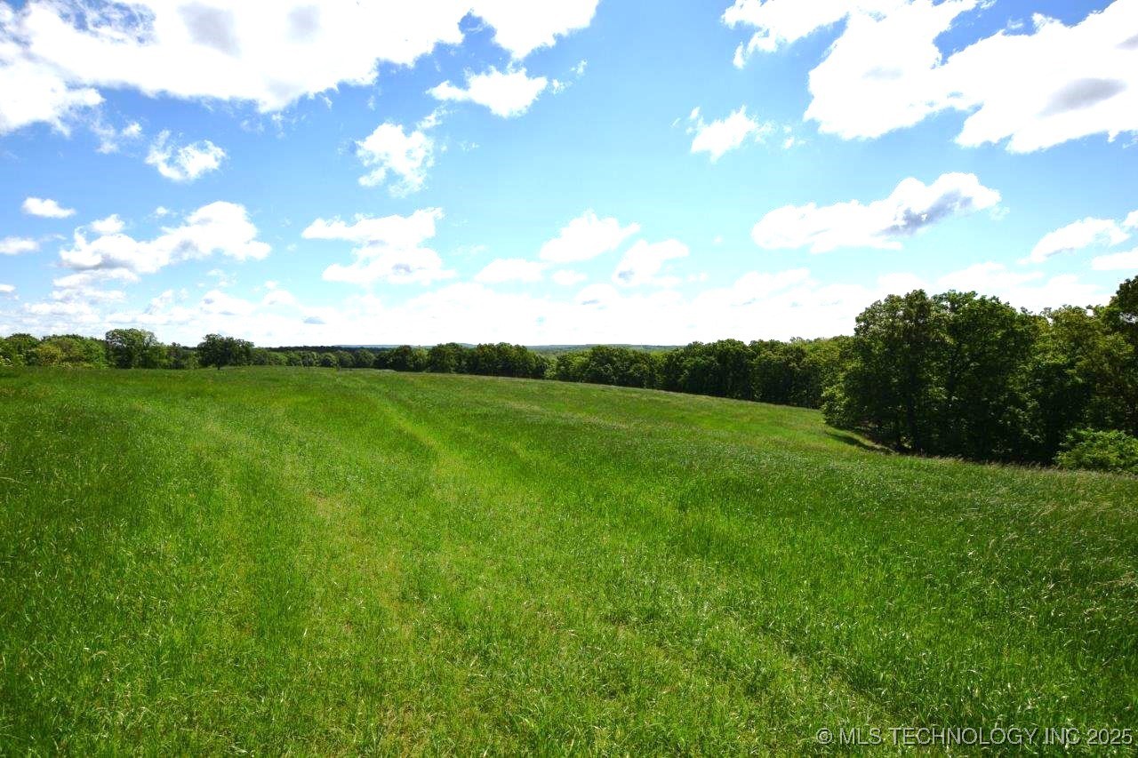 79001 Hwy 59 Property Photo 2