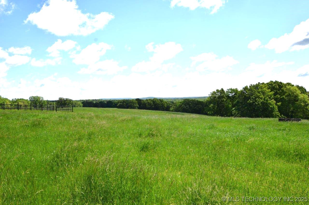 79001 Hwy 59 Property Photo 3