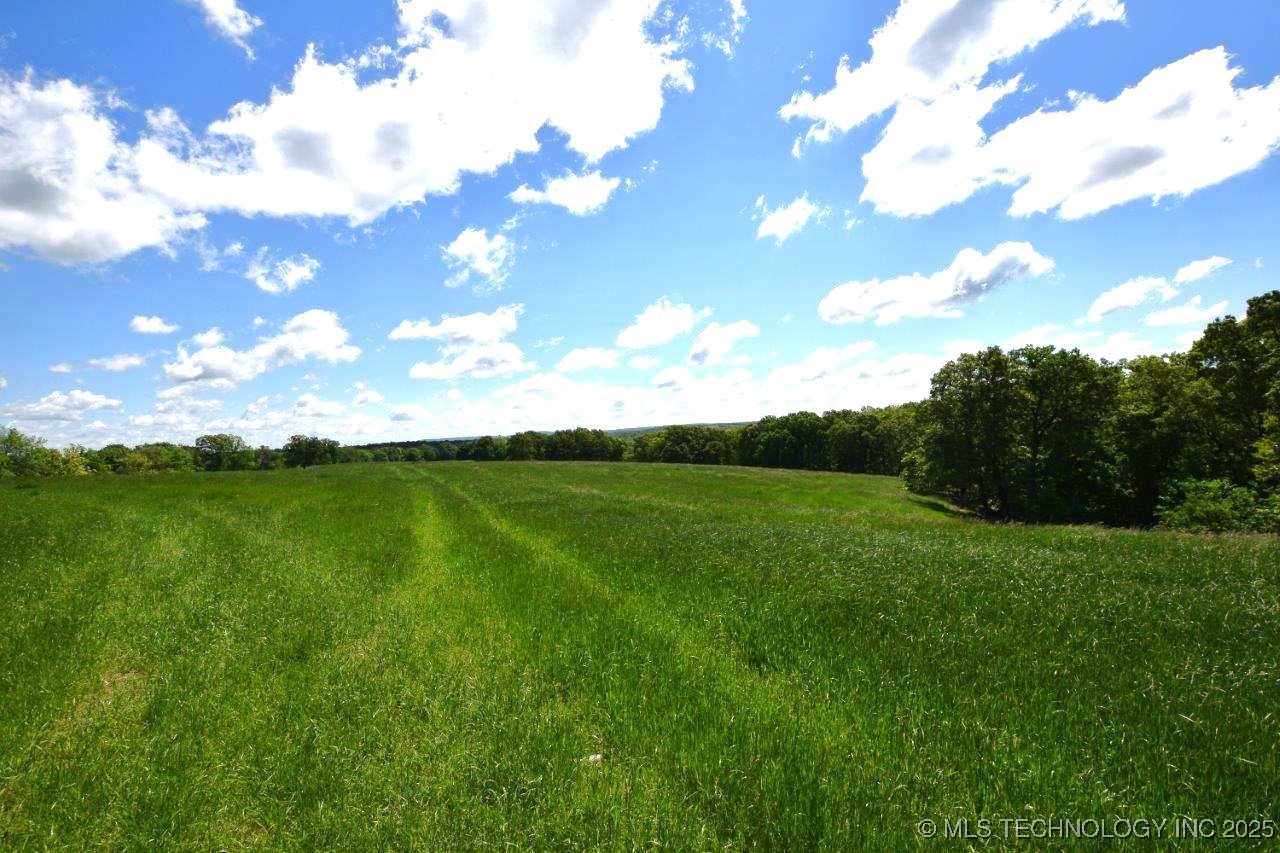 79001 Hwy 59 Property Photo 16