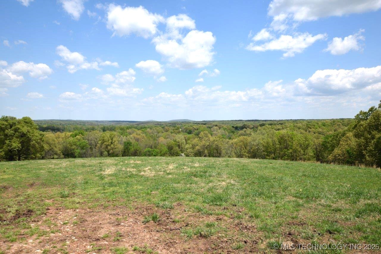 79001 Hwy 59 Property Photo 19