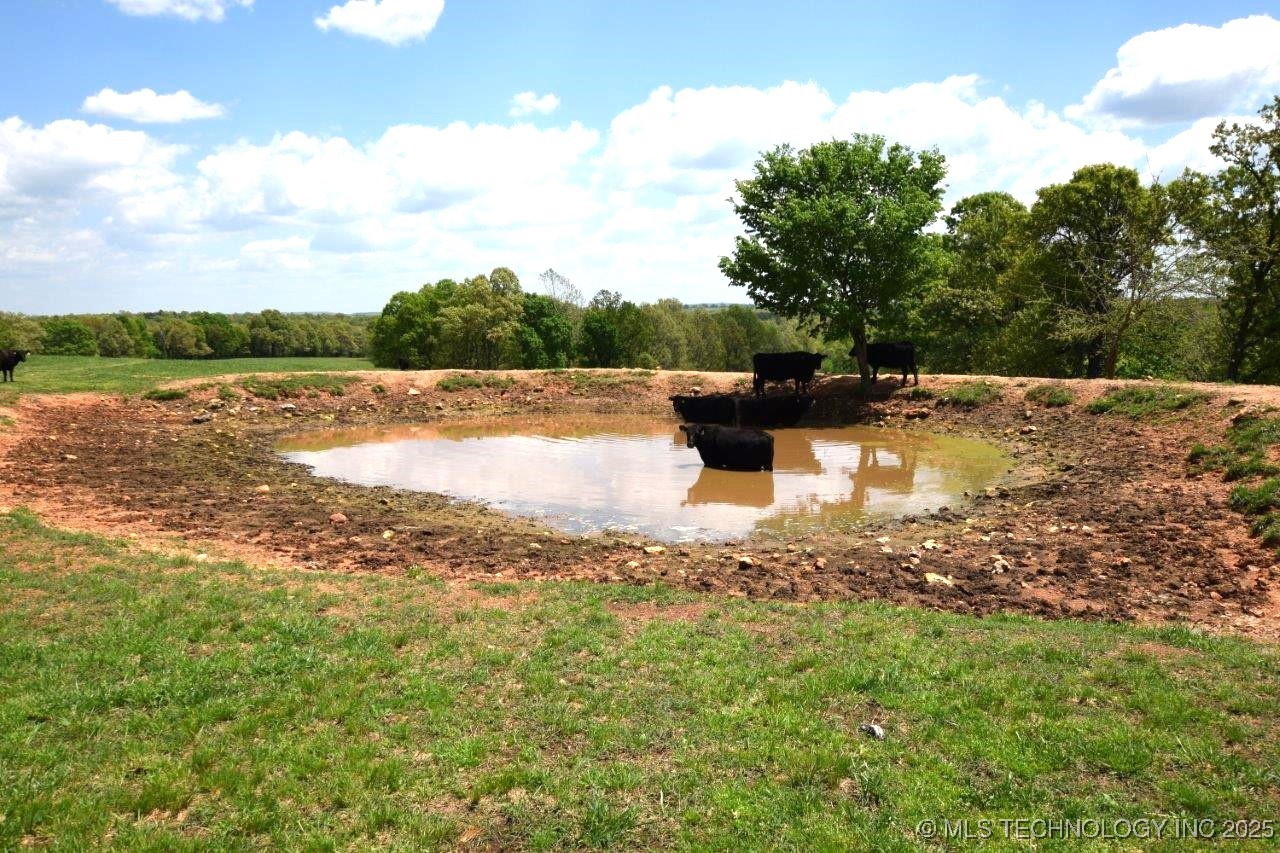 79001 Hwy 59 Property Photo 21