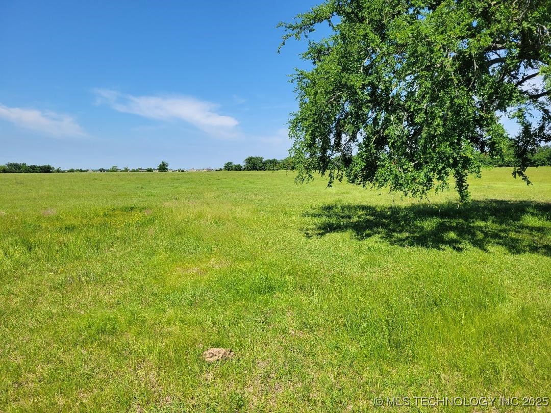 Coon Creek Road Property Photo 4