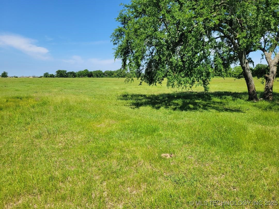 Coon Creek Road Property Photo 5