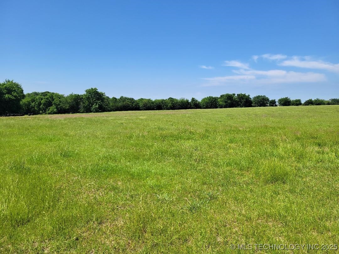 Coon Creek Road Property Photo 7