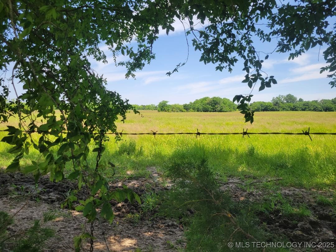 Coon Creek Road Property Photo 12