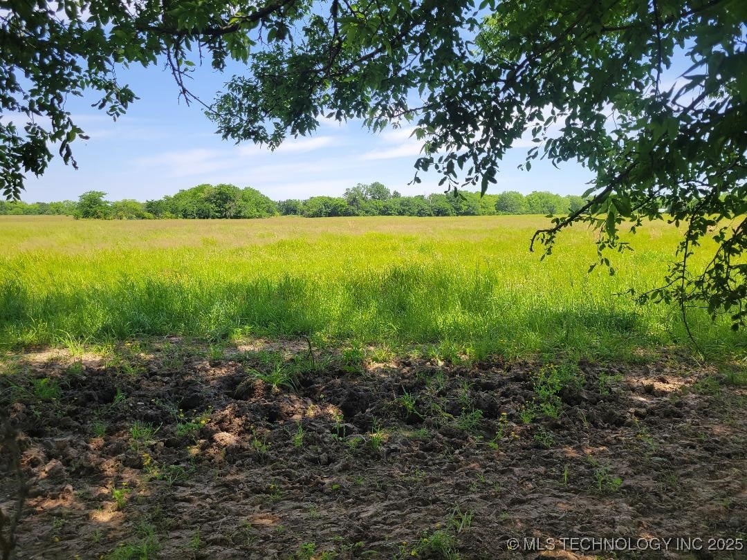 Coon Creek Road Property Photo 13