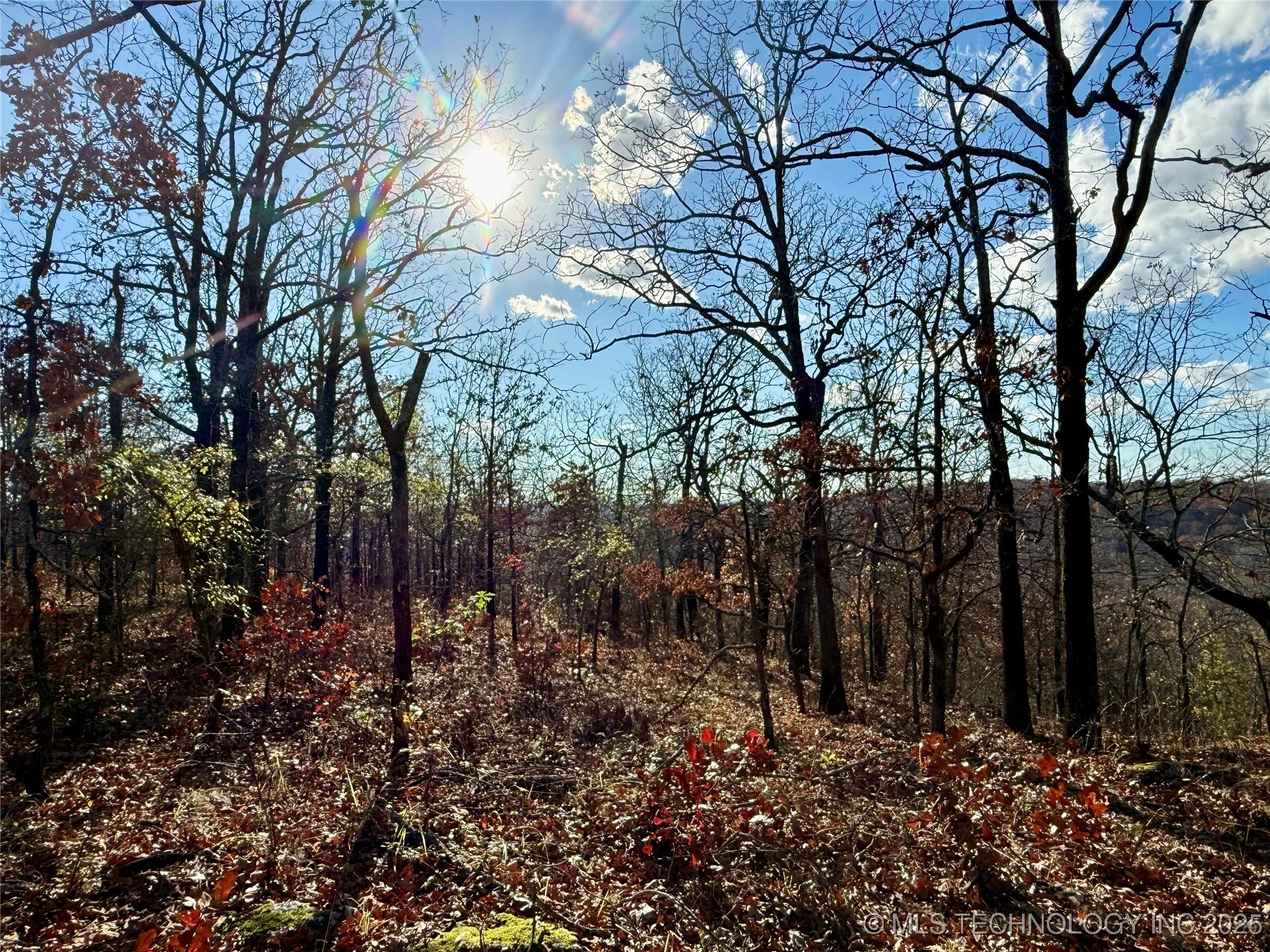 S 4547 Road Property Photo 2