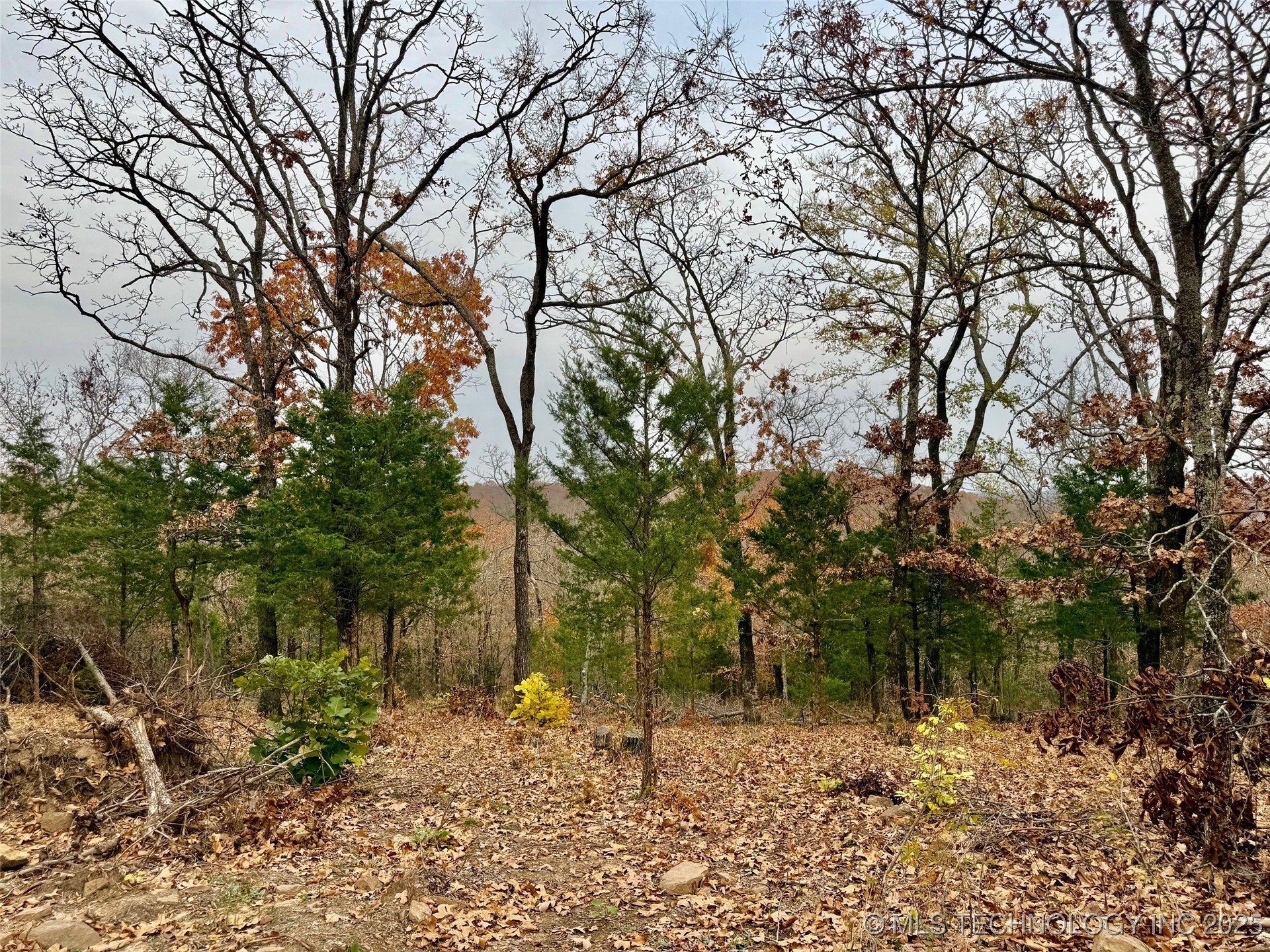 S 4547 Road Property Photo 4