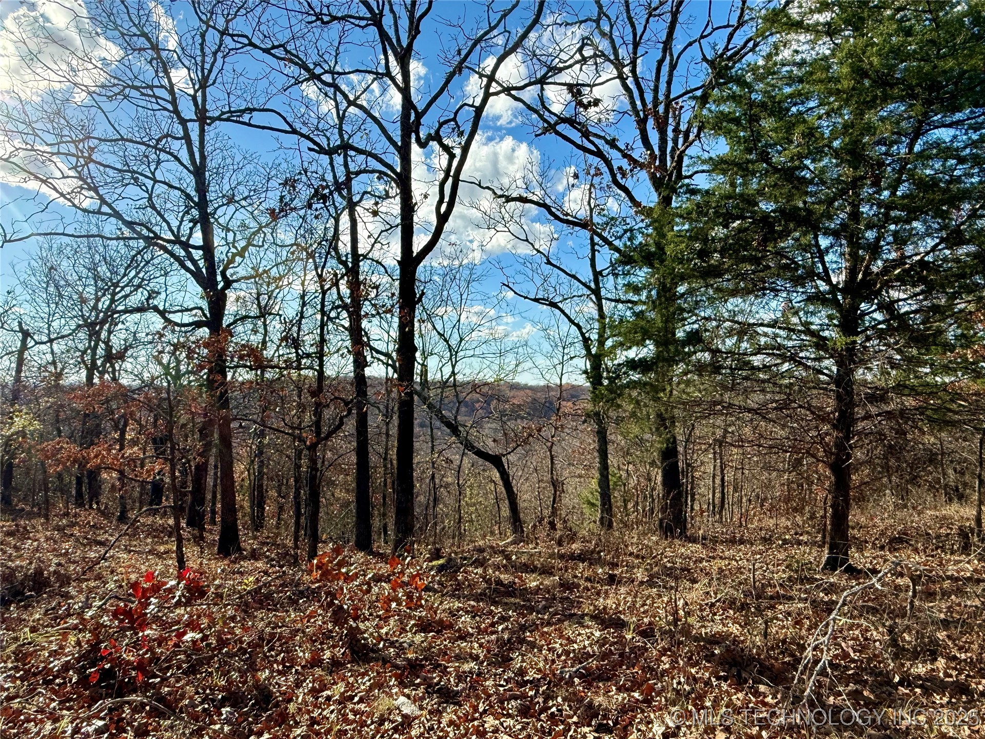 S 4547 Road Property Photo 9