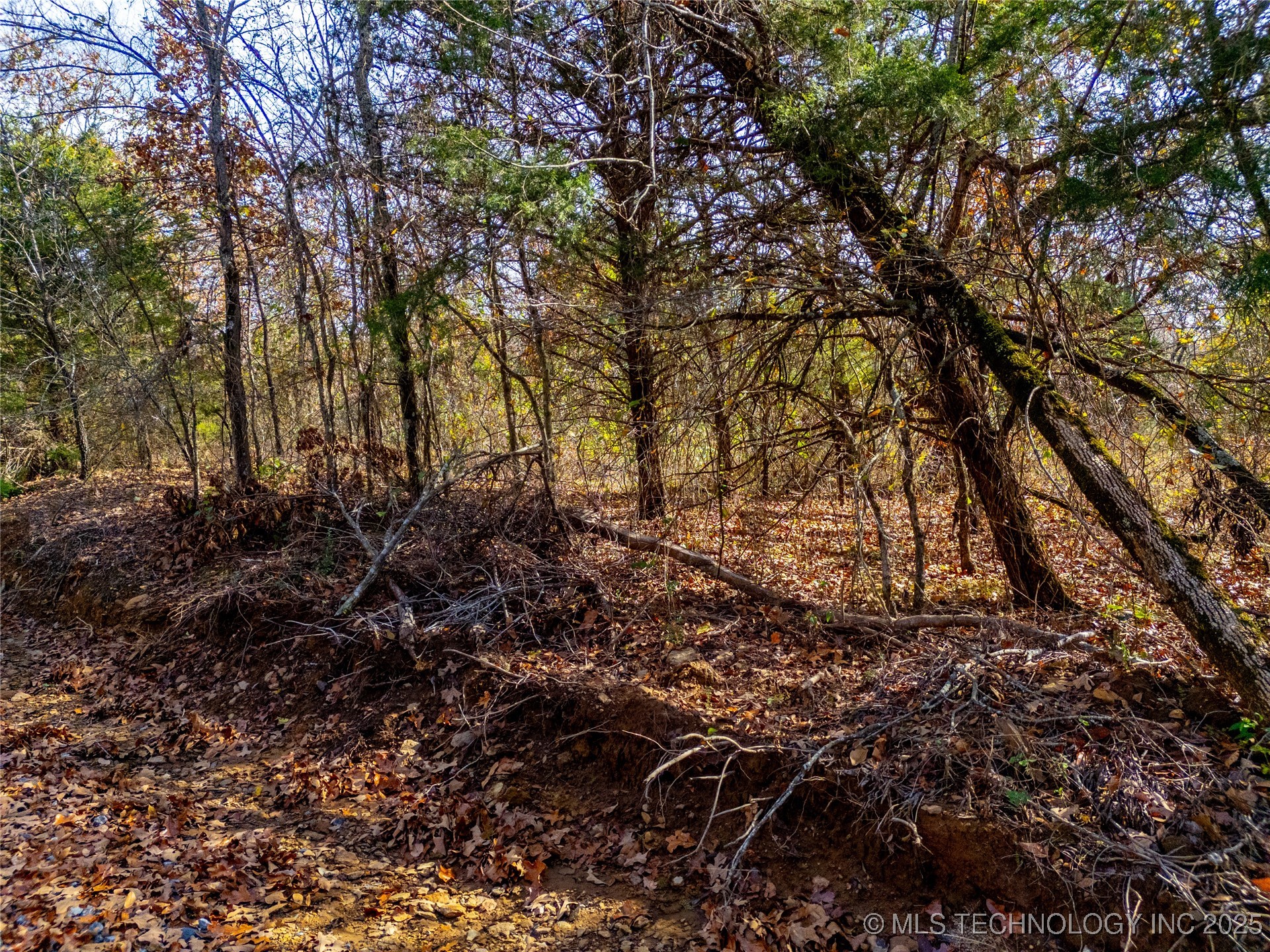 6215 E Davis Field Road Property Photo 41