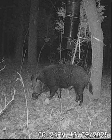 6215 E Davis Field Road Property Photo 42