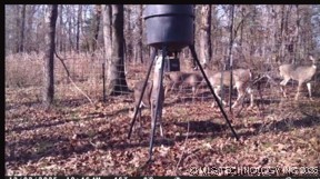 6215 E Davis Field Road Property Photo 43