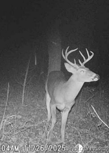 6215 E Davis Field Road Property Photo 44