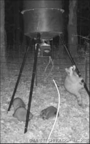 6215 E Davis Field Road Property Photo 45