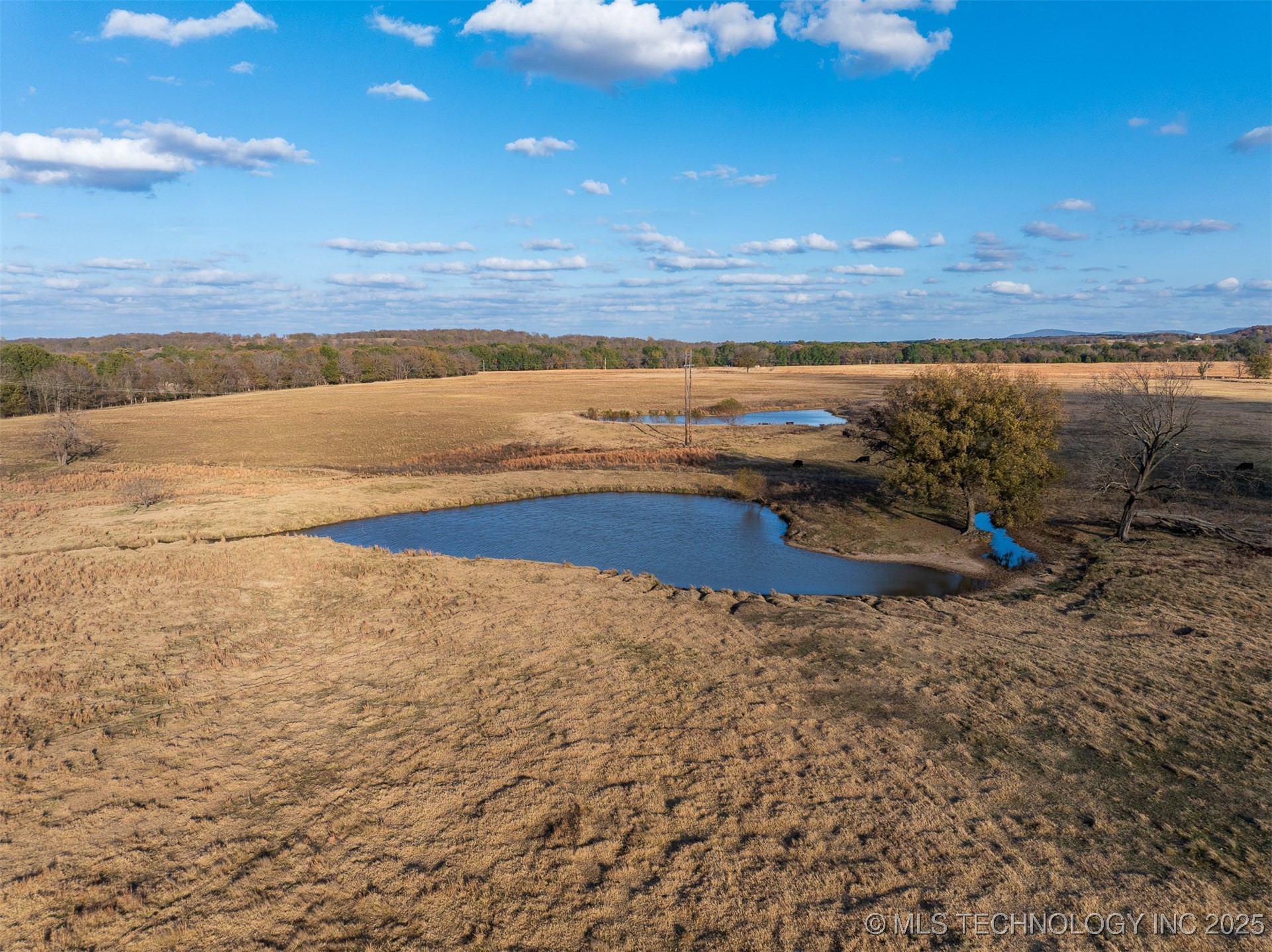 80 S County Road 4440 Property Photo 35