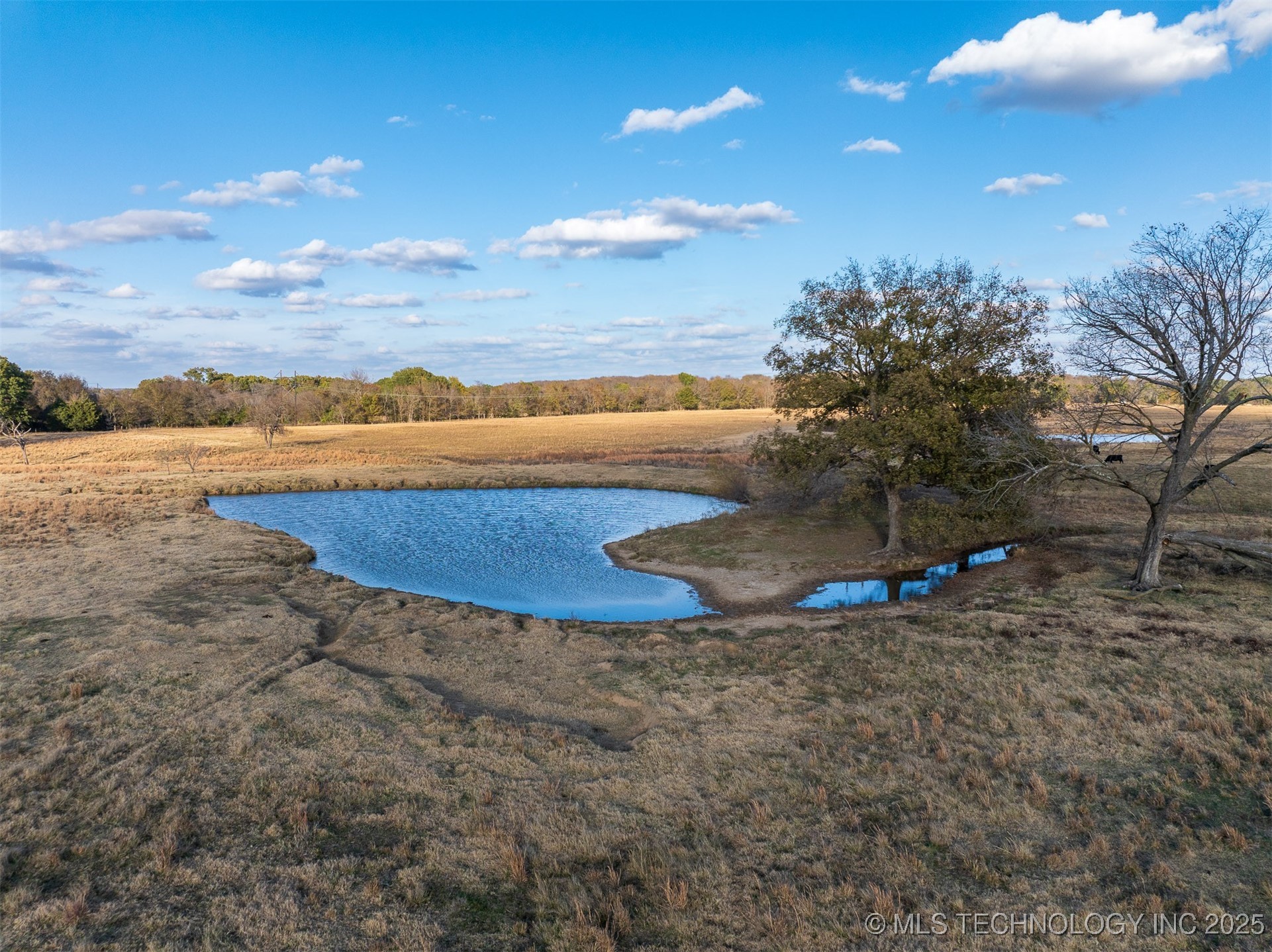 80 S County Road 4440 Property Photo 36