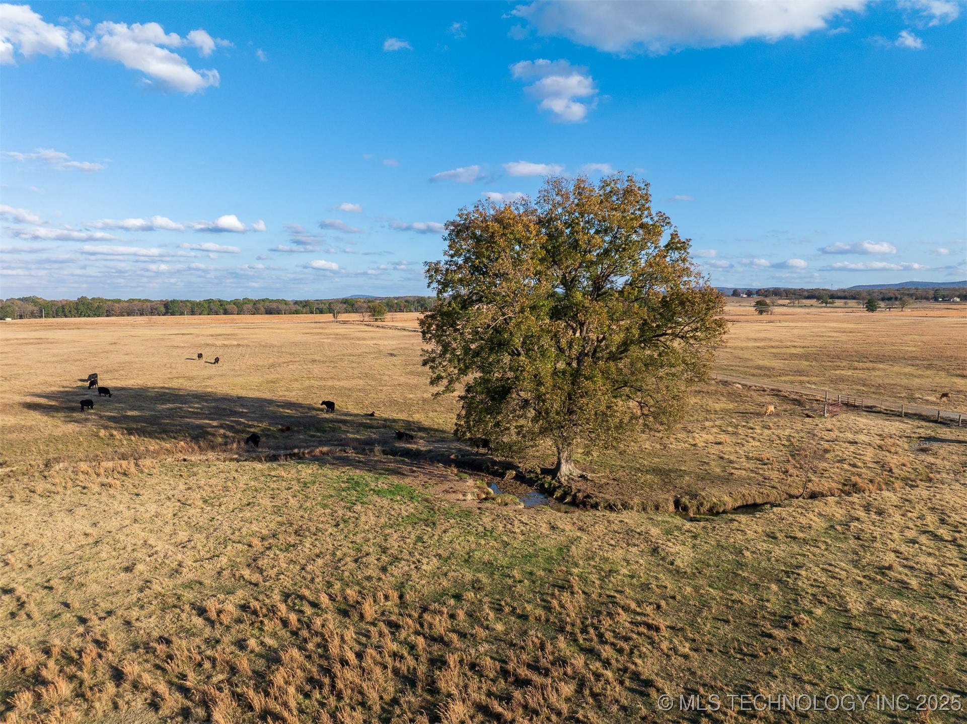 80 S County Road 4440 Property Photo 37