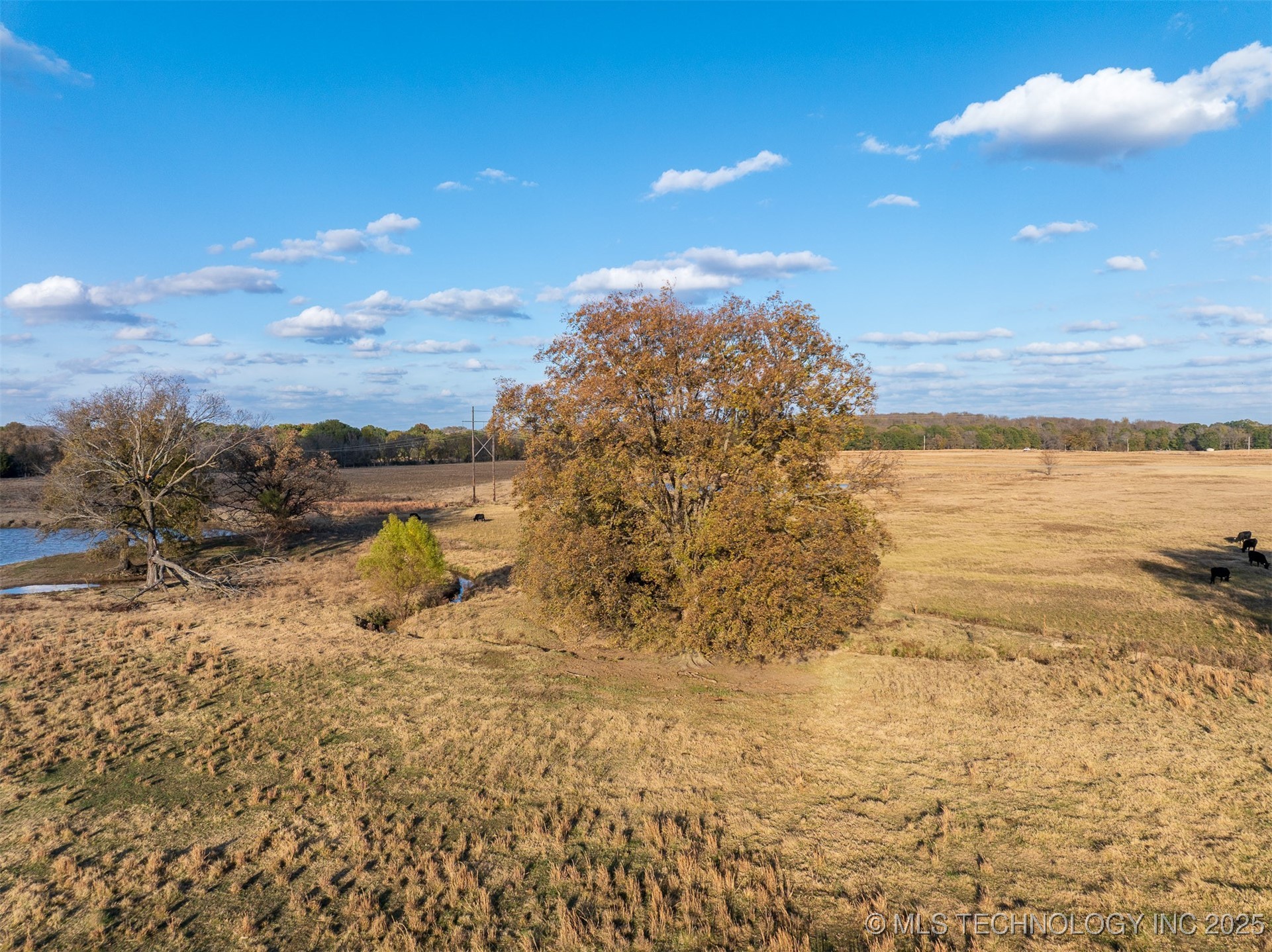 80 S County Road 4440 Property Photo 38