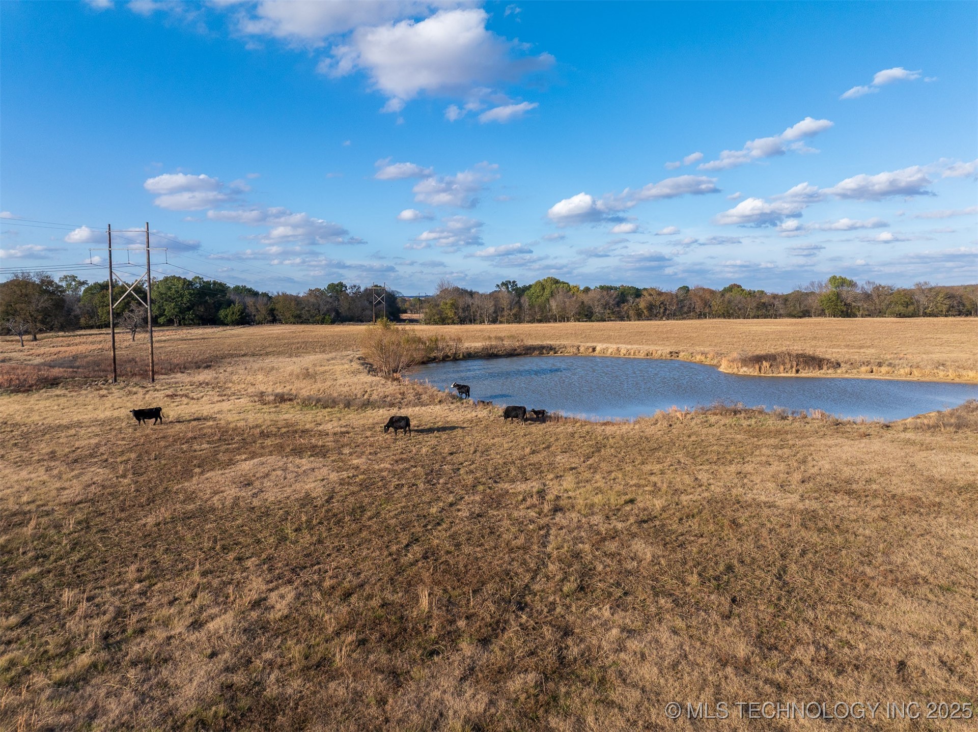 80 S County Road 4440 Property Photo 39