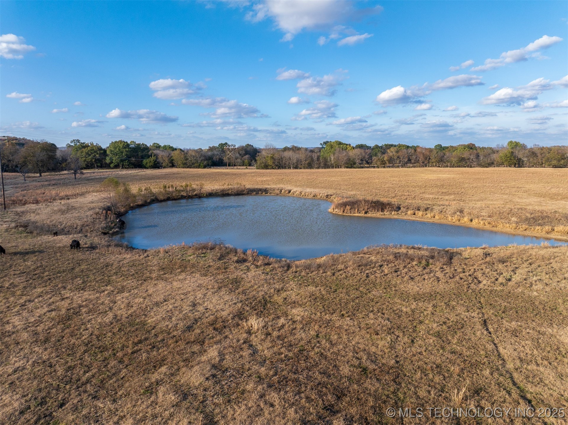 80 S County Road 4440 Property Photo 40