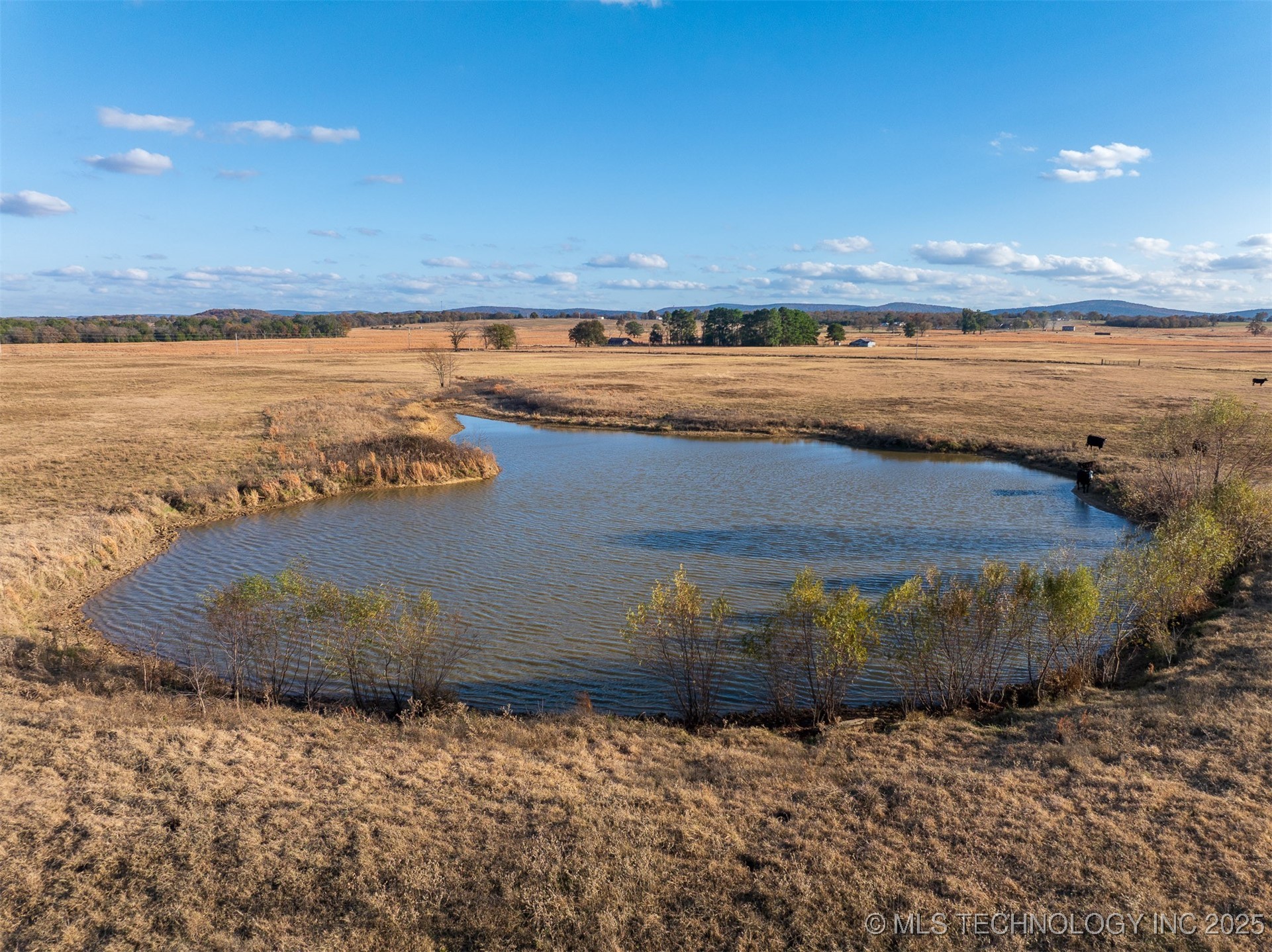 80 S County Road 4440 Property Photo 41
