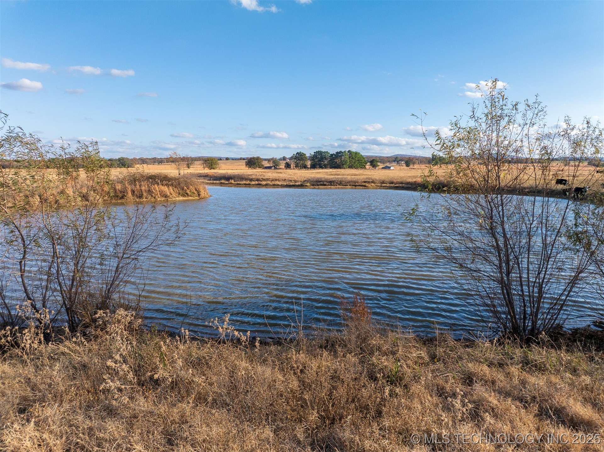 80 S County Road 4440 Property Photo 42