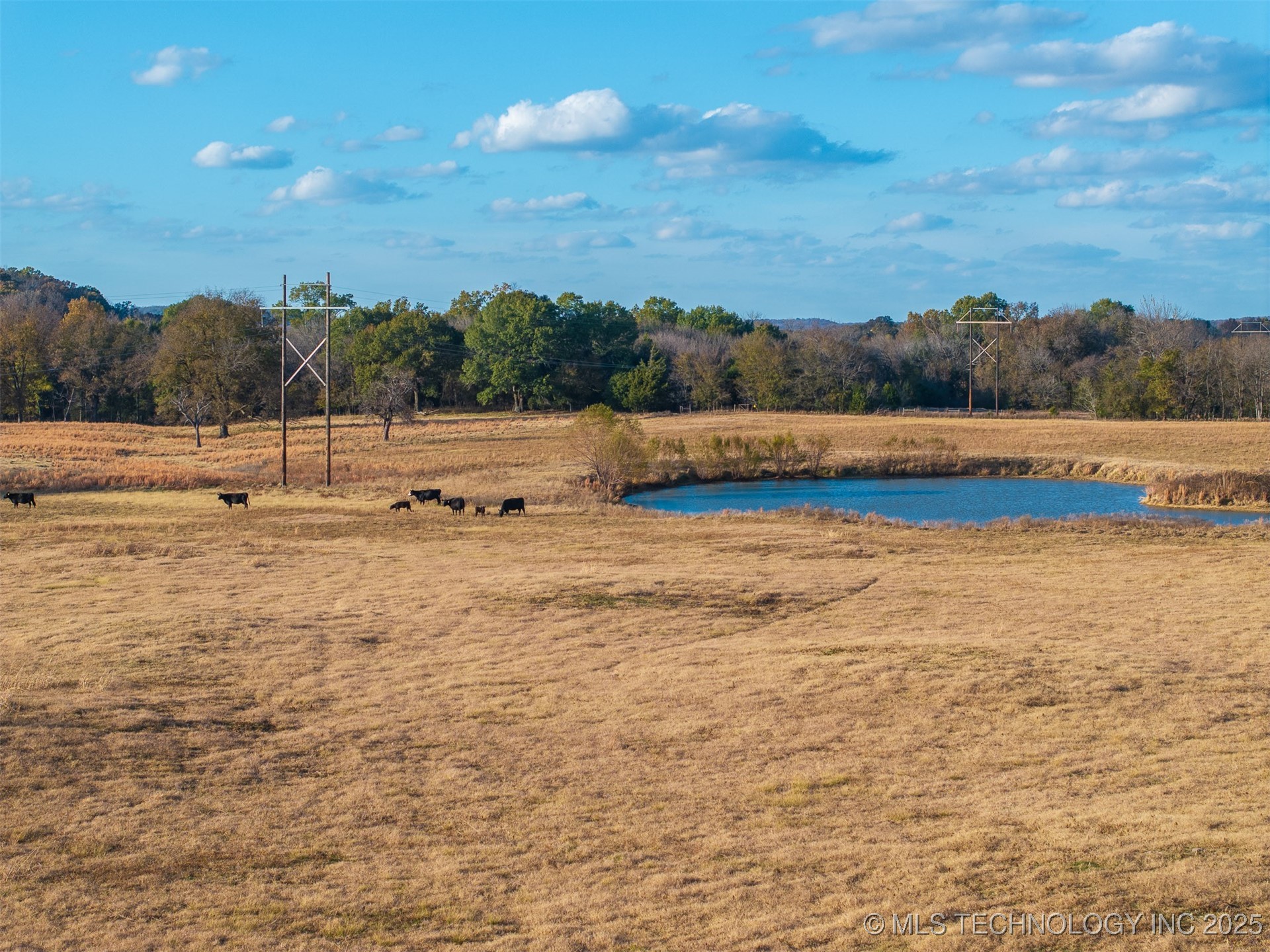 80 S County Road 4440 Property Photo 47