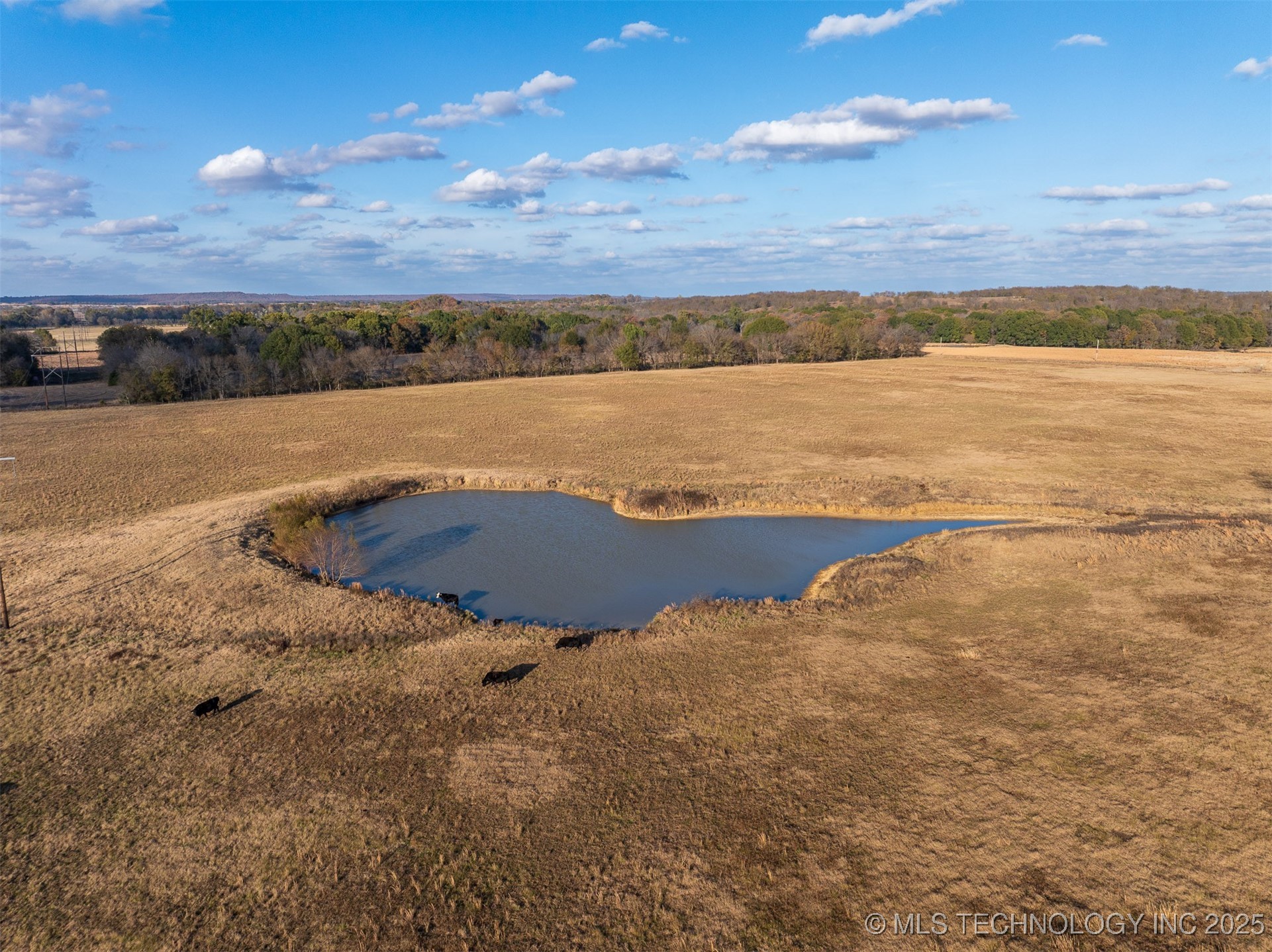 80 S County Road 4440 Property Photo 50
