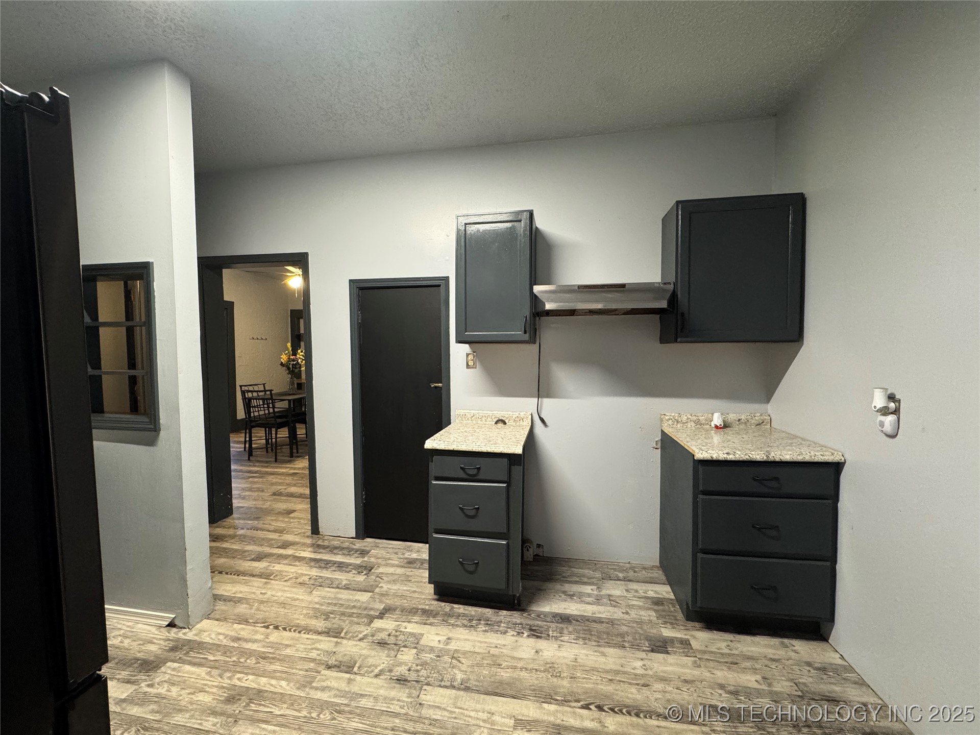 319 S Division Street Property Photo 17