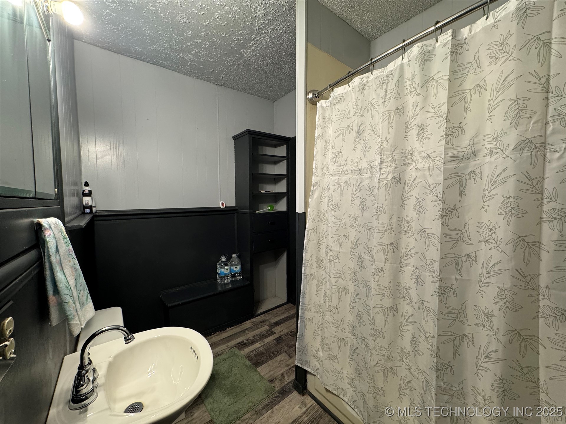 319 S Division Street Property Photo 24