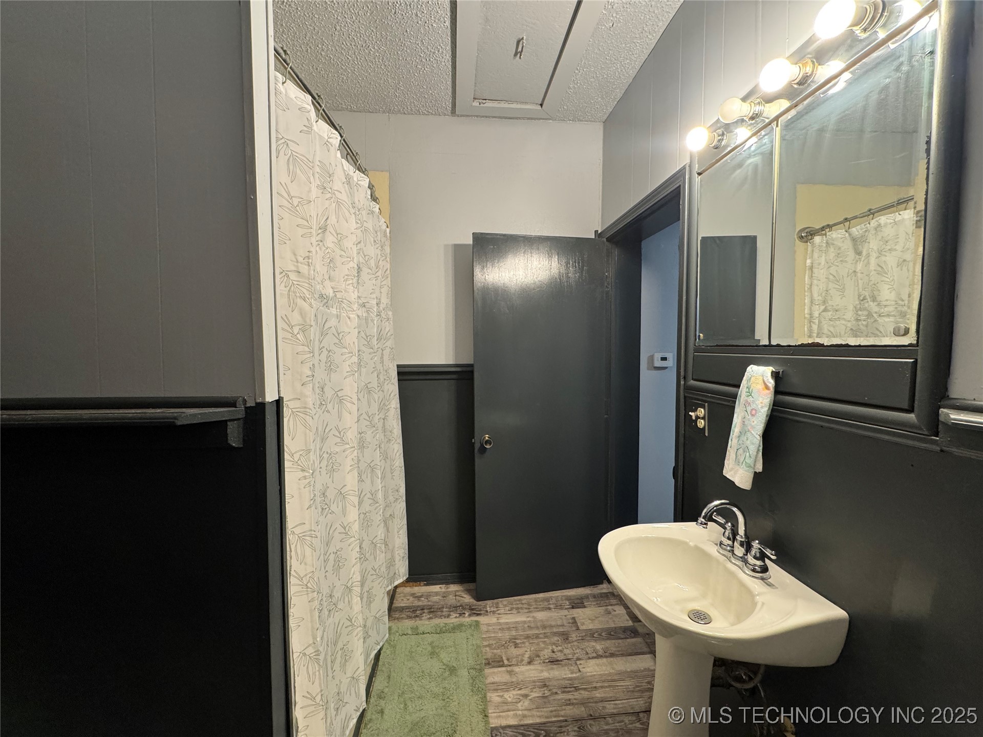 319 S Division Street Property Photo 25