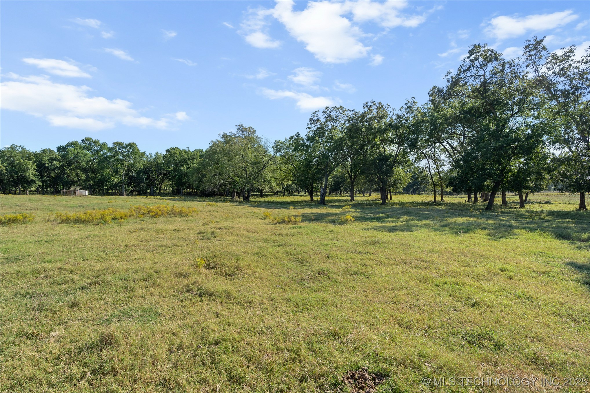 0 Memorial Road Property Photo 5