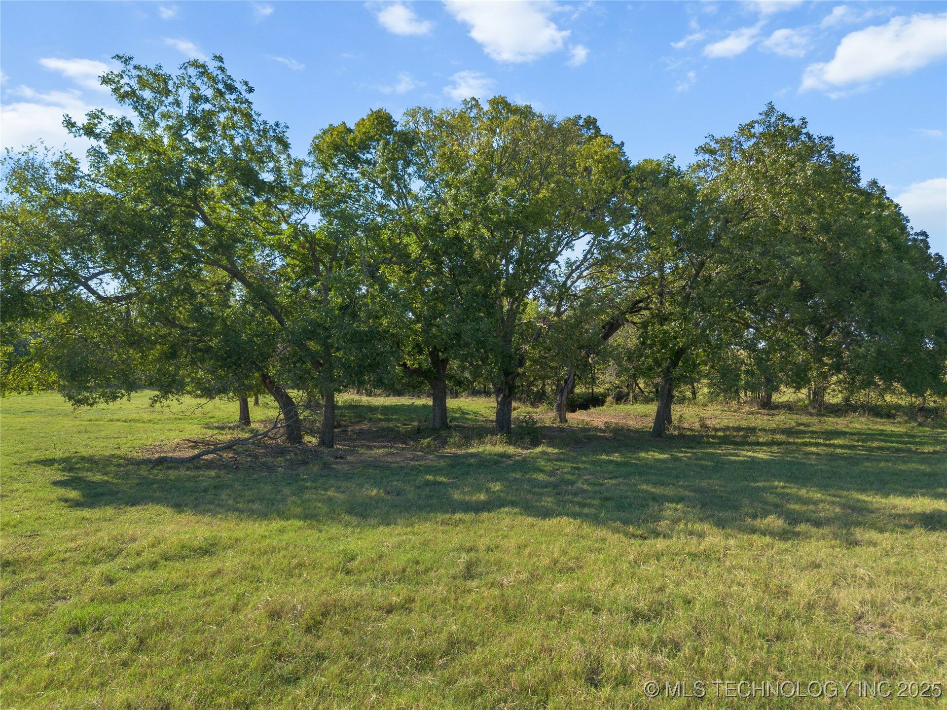 0 Memorial Road Property Photo 7