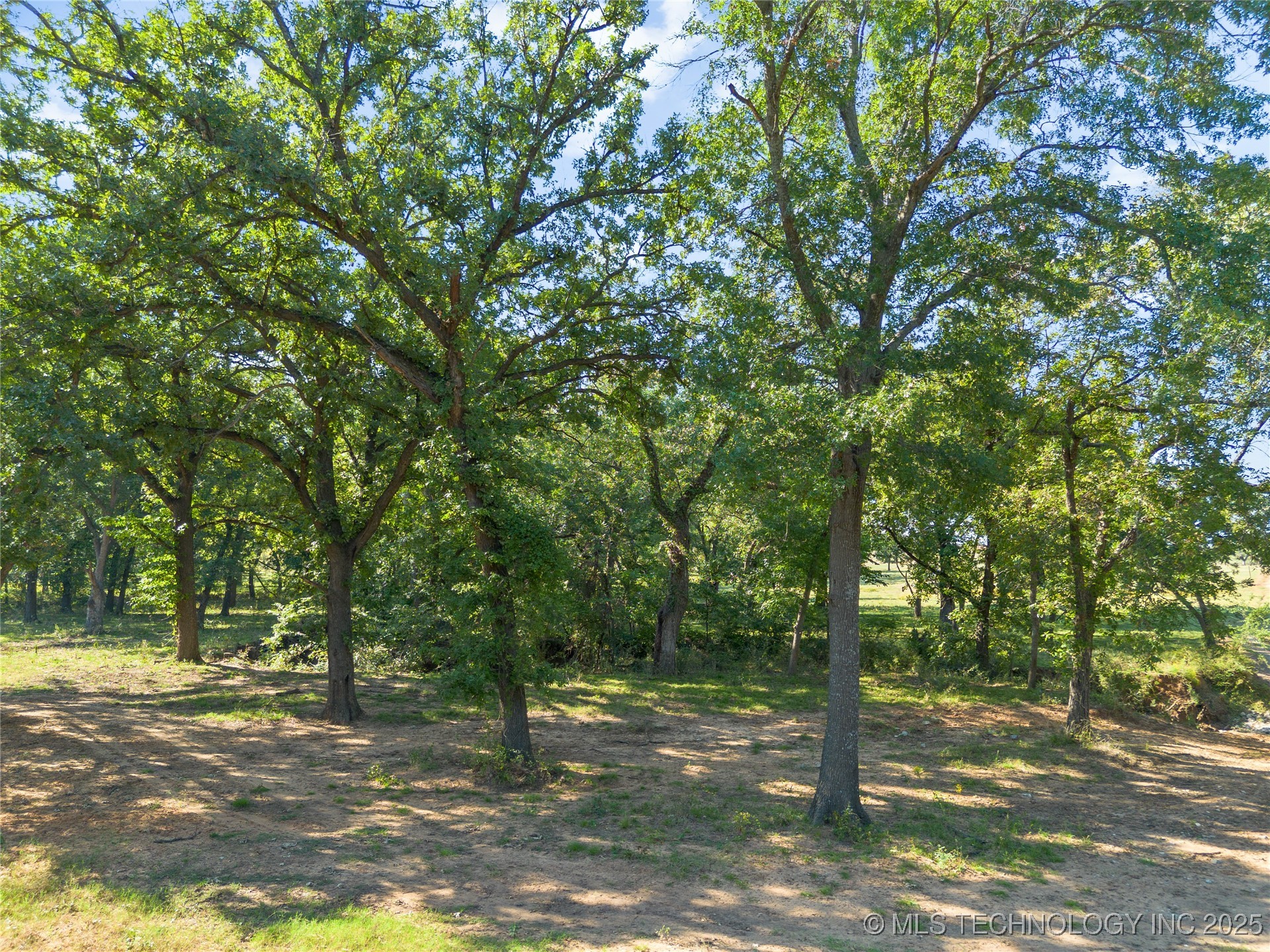 0 Memorial Road Property Photo 11