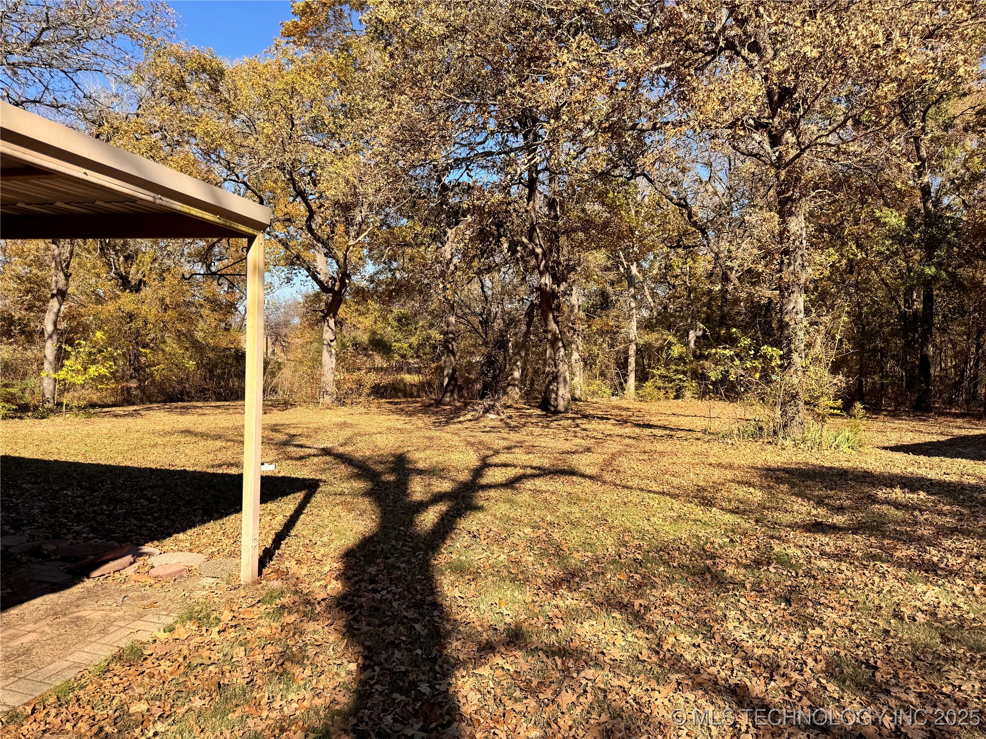 1114 Comet Property Photo 64