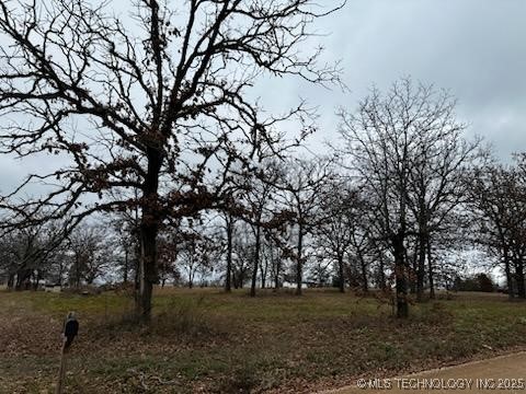 2548187 Property Photo 3