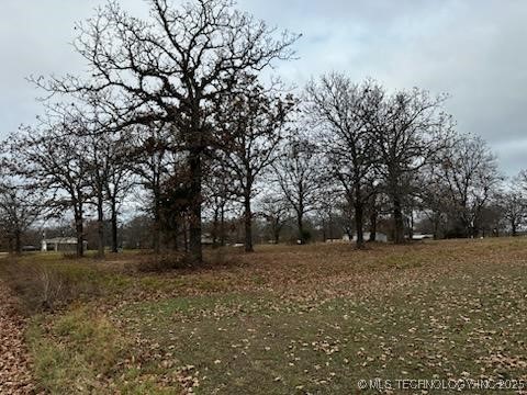 2548187 Property Photo 5