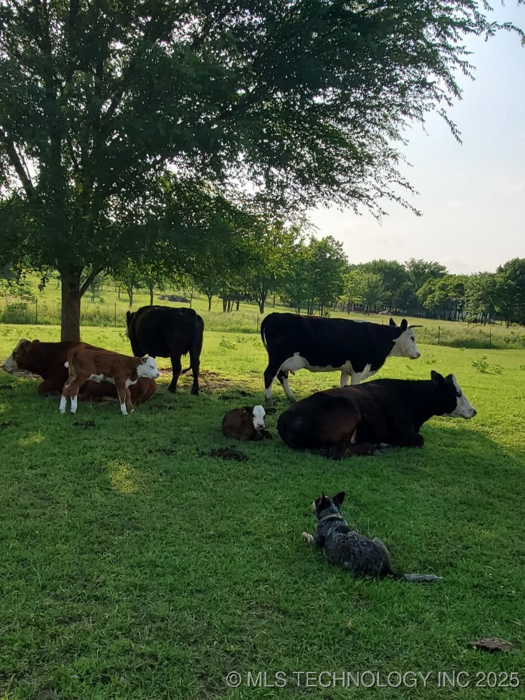 18500 Slick Road Property Photo 19