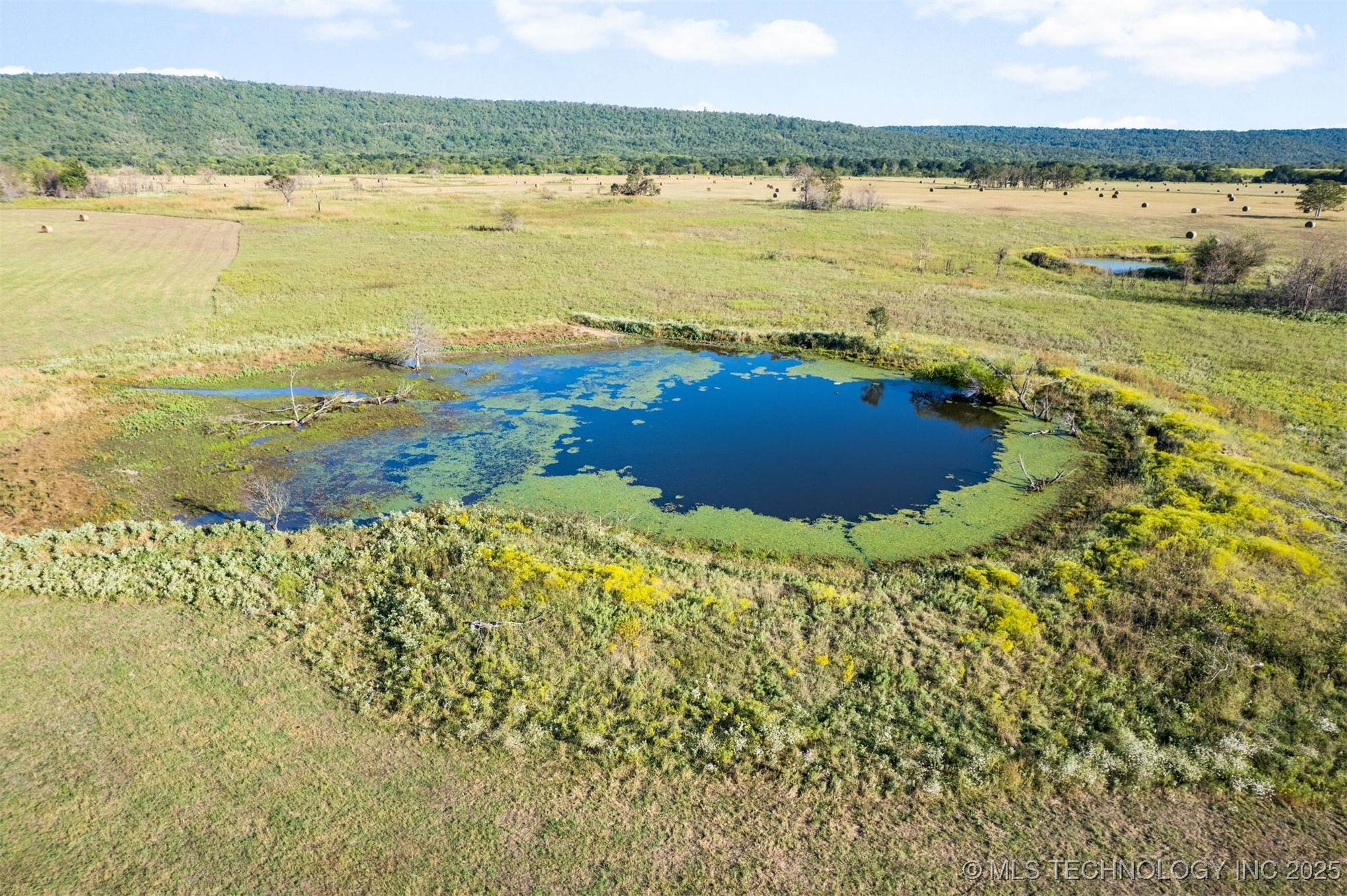 1600 N Newkirk Road Property Photo 4