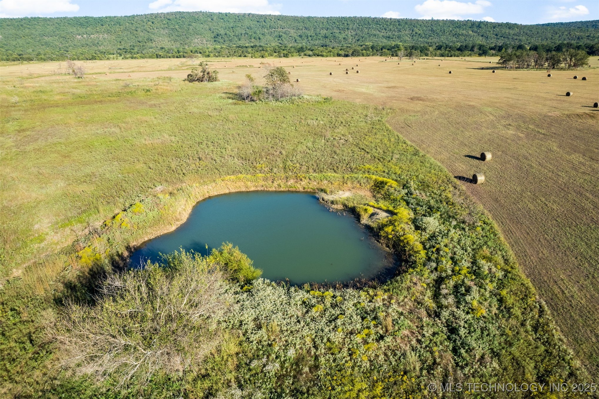 1600 N Newkirk Road Property Photo 5