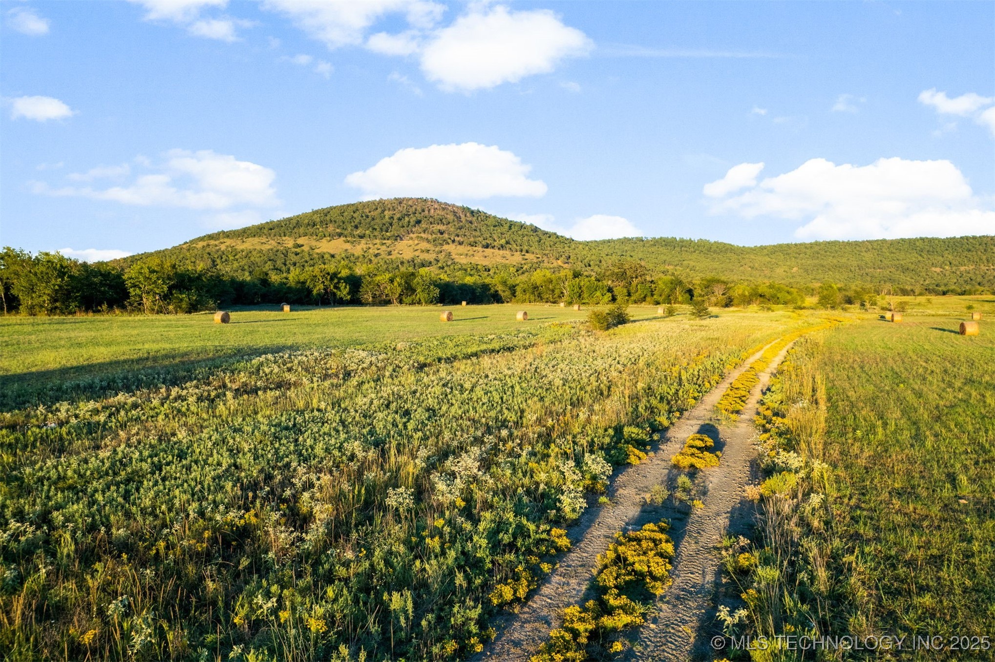 1600 N Newkirk Road Property Photo 42