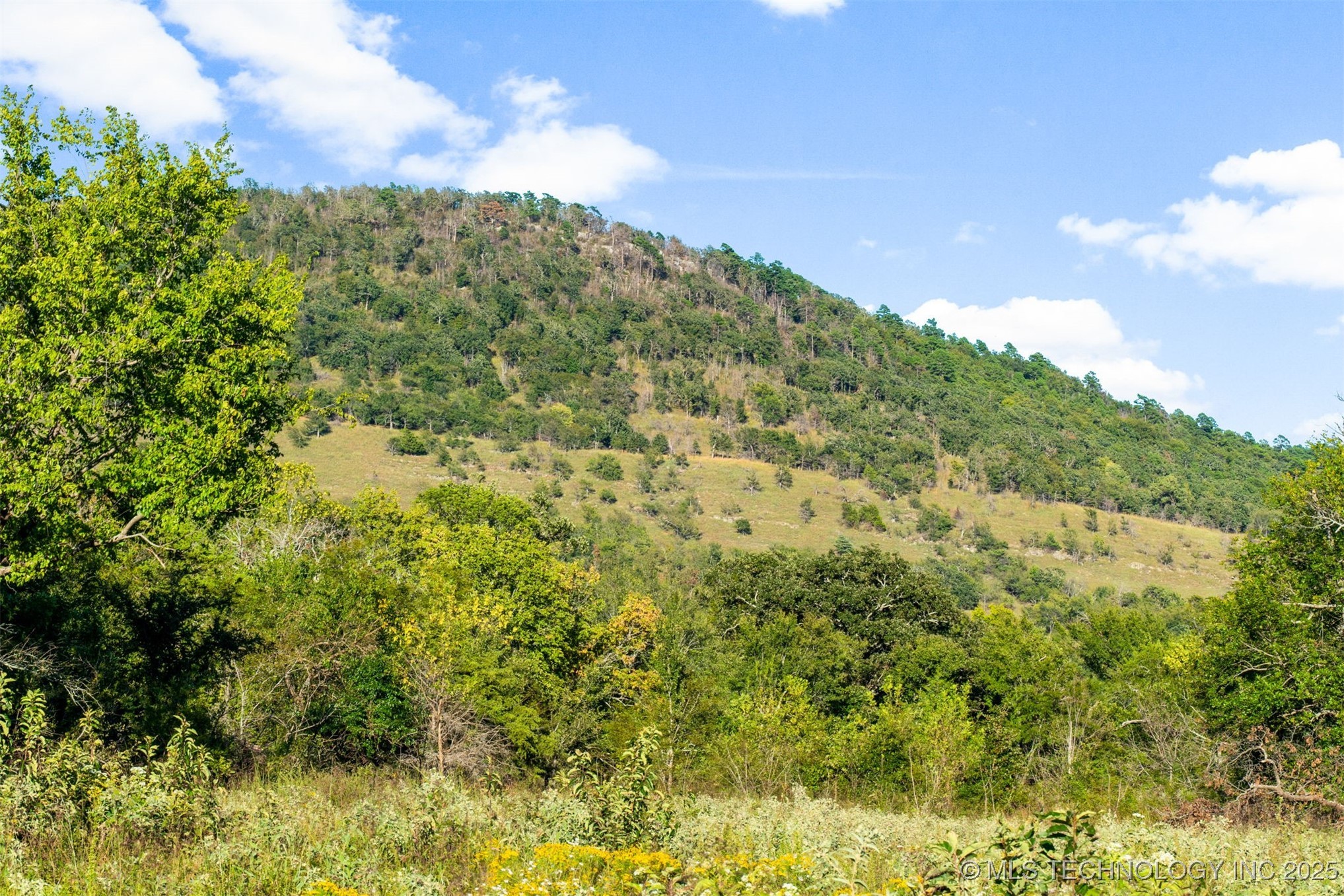 1600 N Newkirk Road Property Photo 43